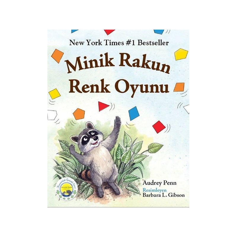 Minik Rakun Renk Oyunu