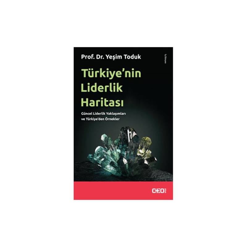 Türkiye'nin Liderlik Haritası