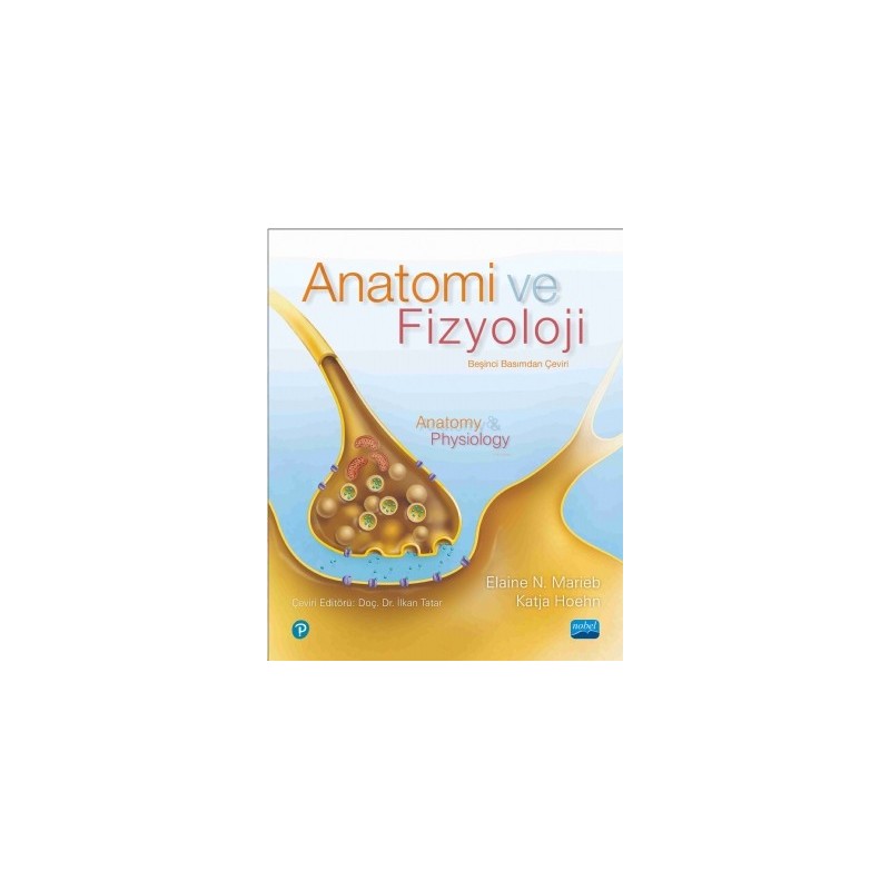 Anatomi Ve Fizyoloji - Anatomy & Physiology Anatomi Ve Fizyoloji - Anatomy & Physiology