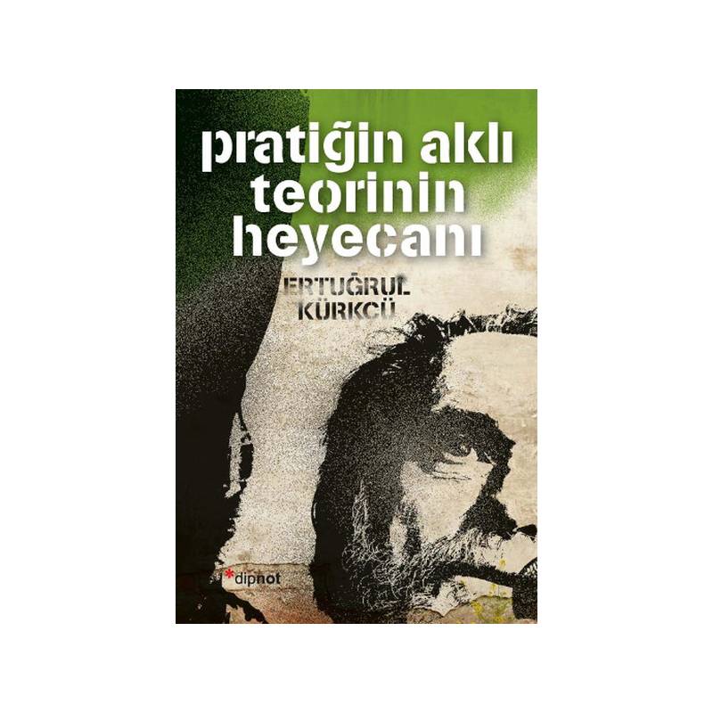 Pratiğin Aklı Teorinin Heyacanı
