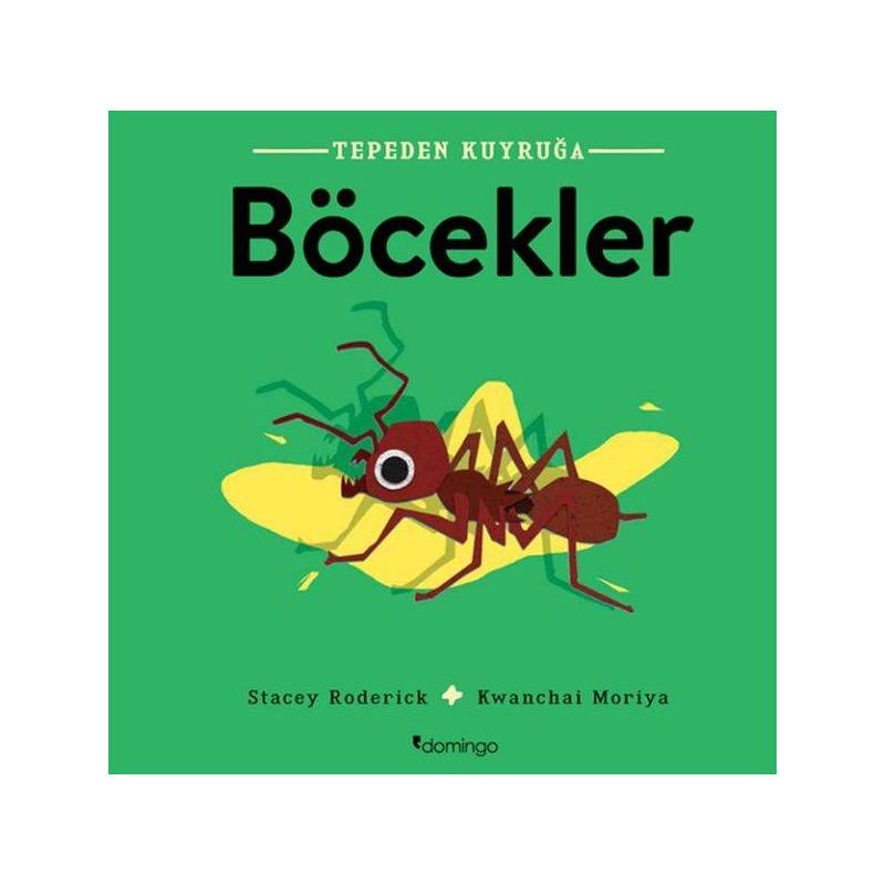 Tepeden Kuyruğa Böcekler