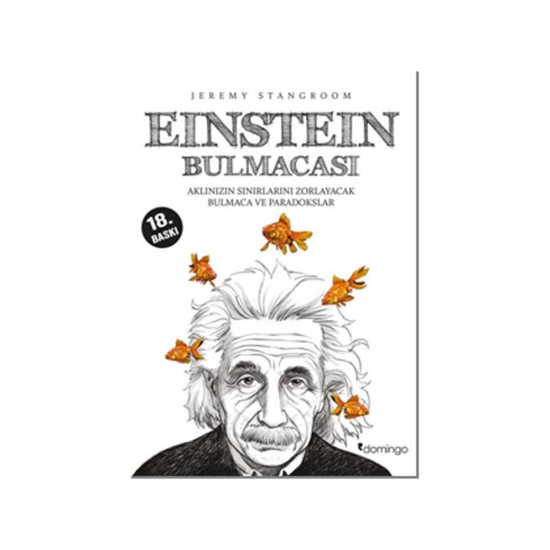 Einstein Bulmacası Aklınızın Sınırlarını Zorlayacak Bulmaca Ve Paradokslar