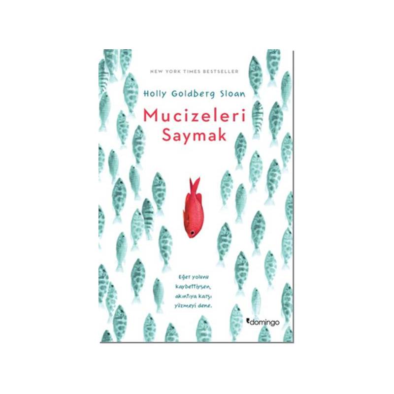Mucizeleri Saymak