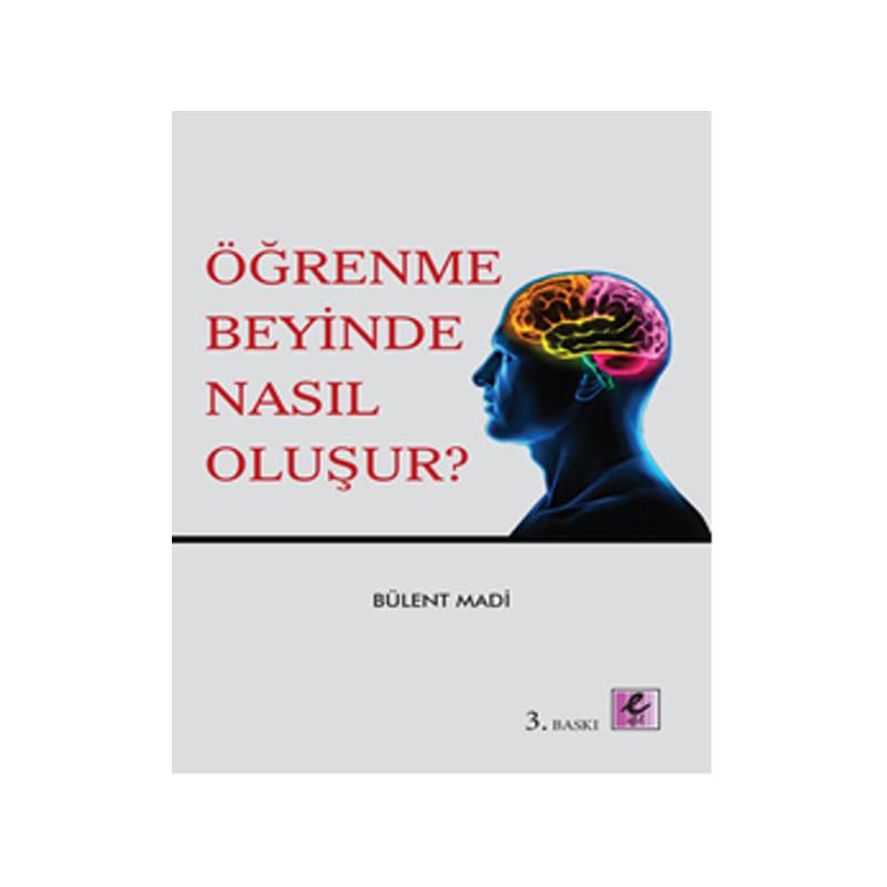 Öğrenme Beyinde Nasıl Oluşur