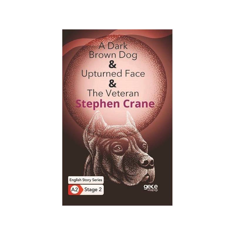 A Dark Brown Dog Upturned Face The Veteran İngilizce Hikayeler A2 Stage 2