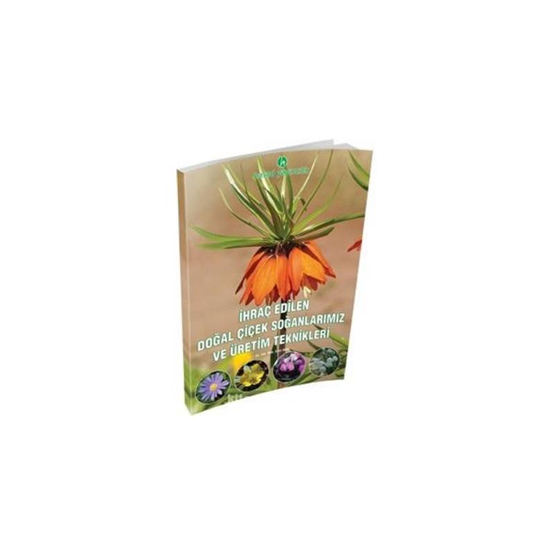 İhraç Edilen Doğal Çiçek Soğanlarımız Ve Üretim Teknikleri