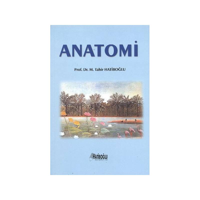 Anatomi