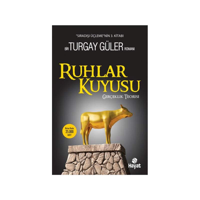 Ruhlar Kuyusu Gerçeklik Teorisi