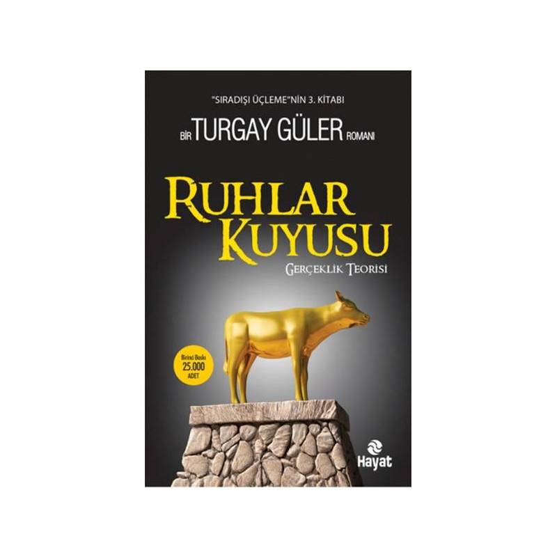 Ruhlar Kuyusu Gerçeklik Teorisi