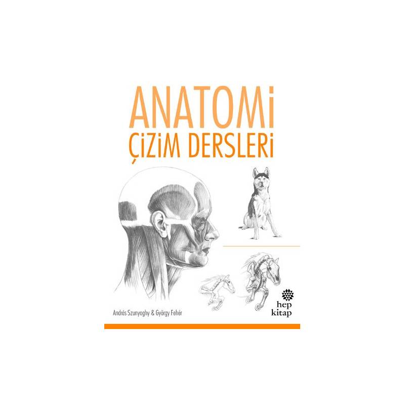 Anatomi Çizim Dersleri