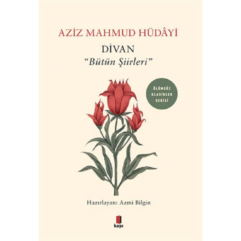 Divan - Bütün Şiirleri