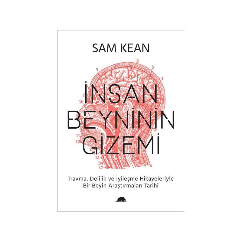 İnsan Beyninin Gizemi