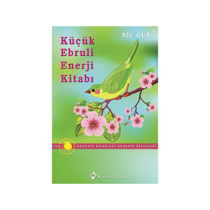Küçük Ebruli Enerji Kitabı