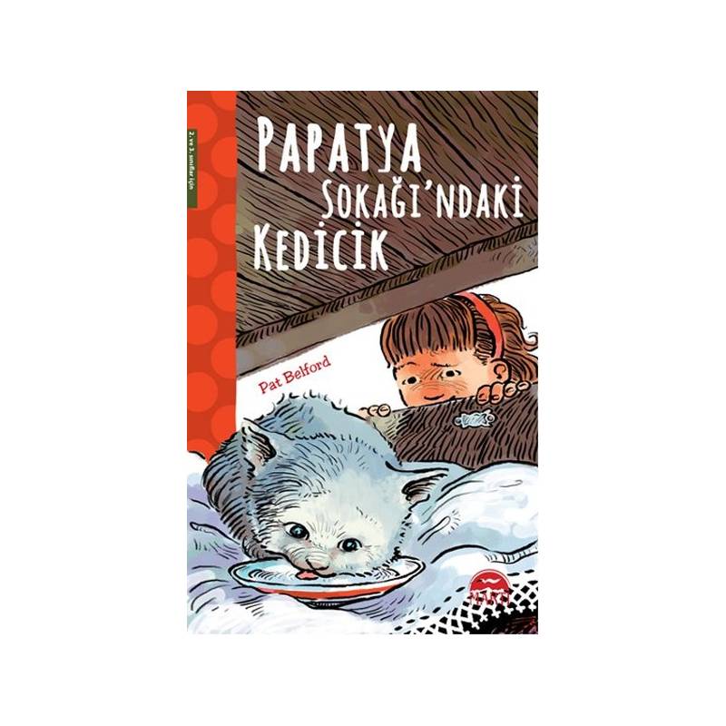 Papatya Sokağındaki Kedicik