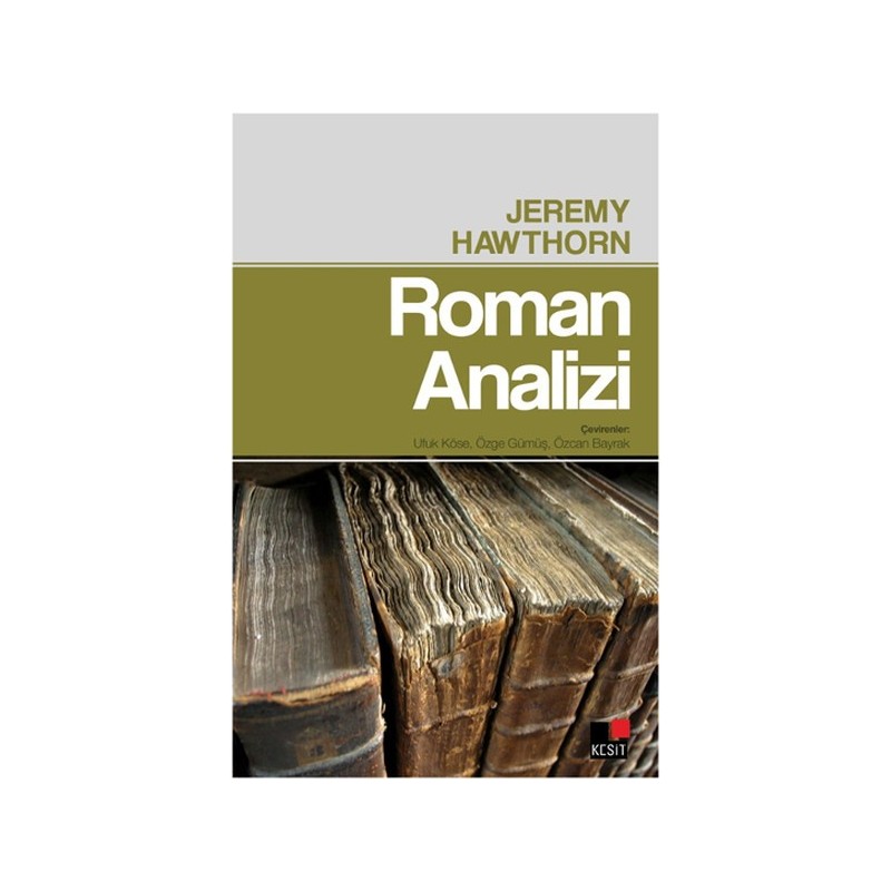 Roman Analizi