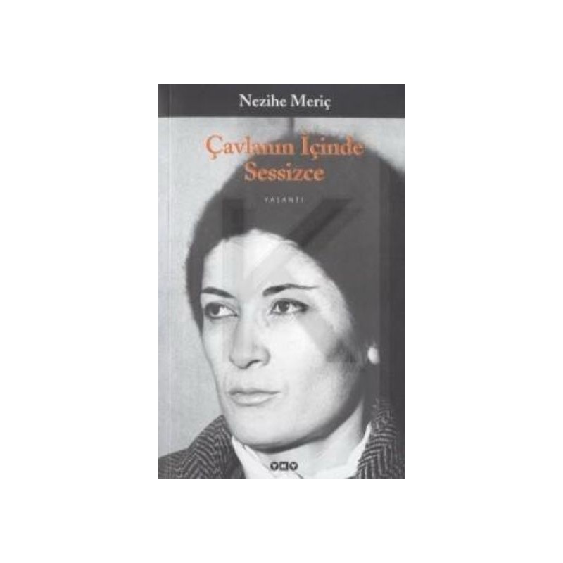 Çavlanın İçinde Sessizce