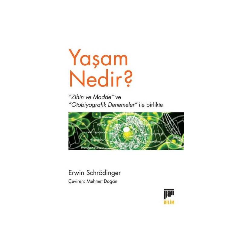 Yaşam Nedir