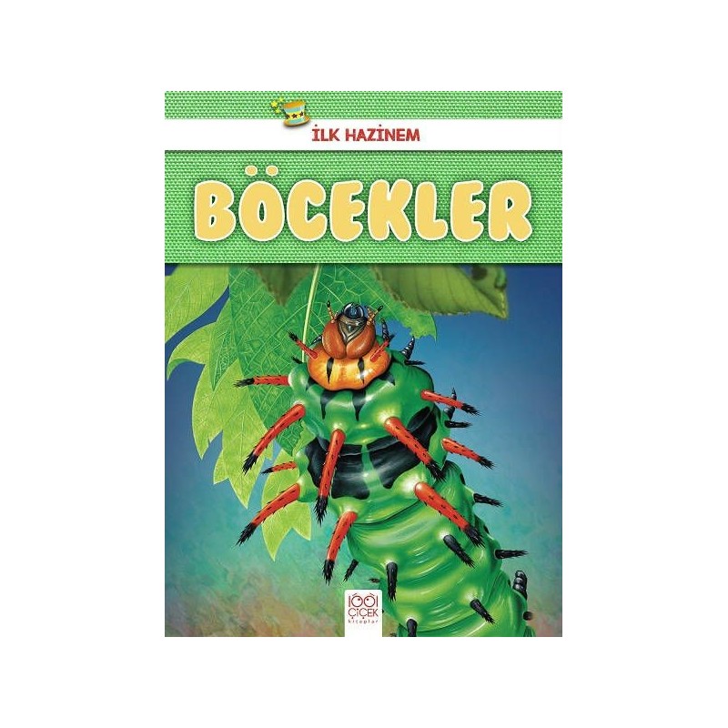 İlk Hazinem Böcekler