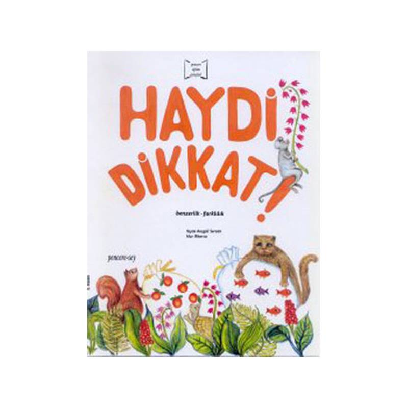 Haydi Dikkat Benzerlik Farklılık
