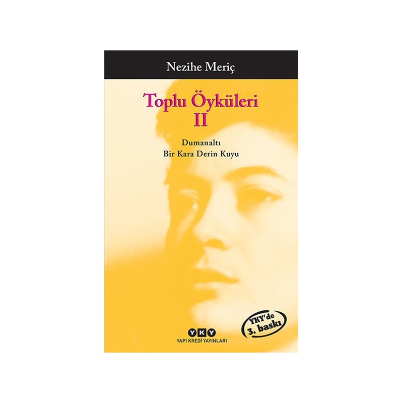 Toplu Öyküler 2 Nezihe Meriç