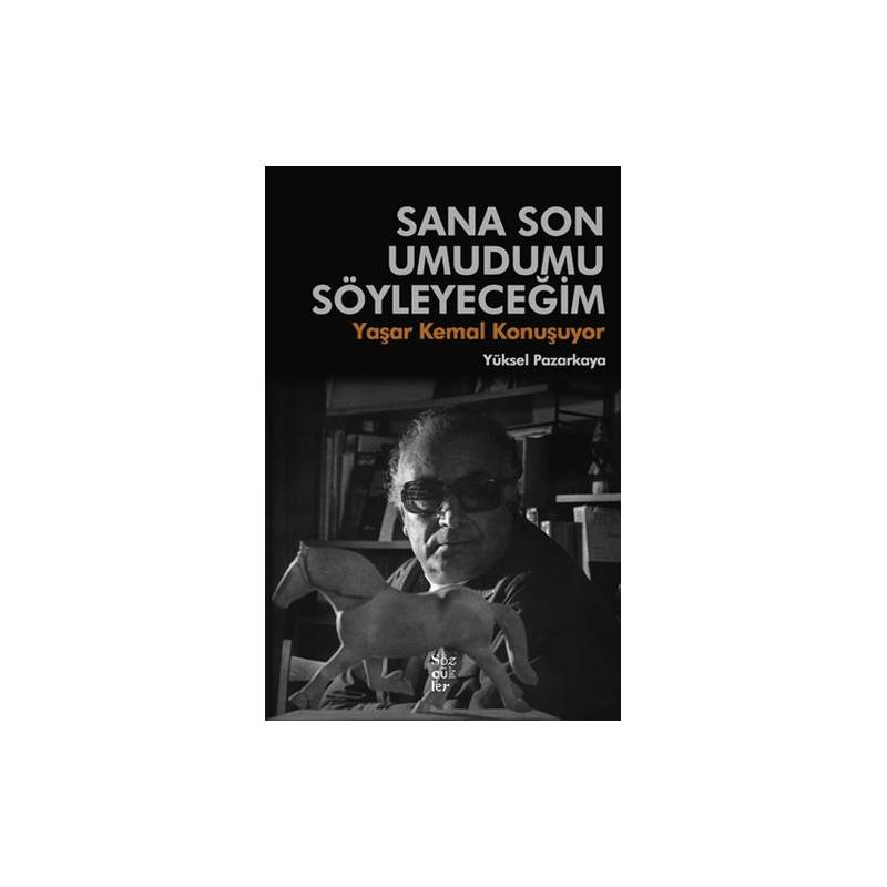 Sana Son Umudumu Söyleyemeceğim