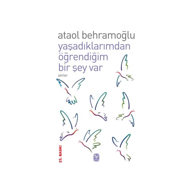 Yaşadıklarımdan Öğrendiğim Bir Şey Var