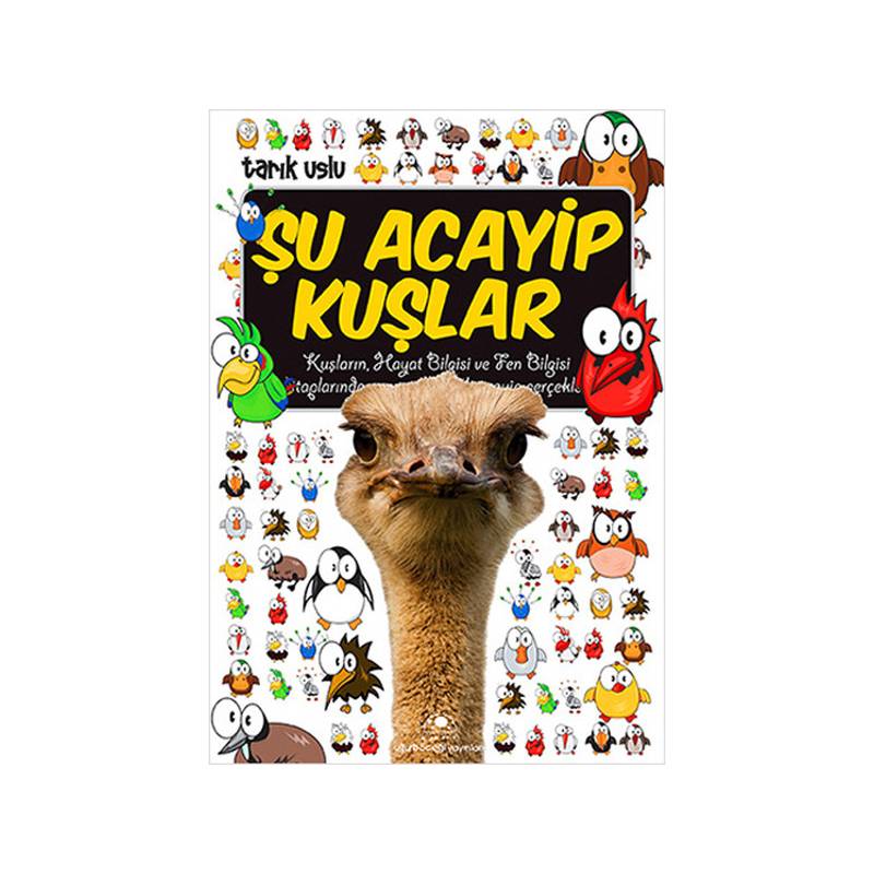 Şu Acayip Kuşlar