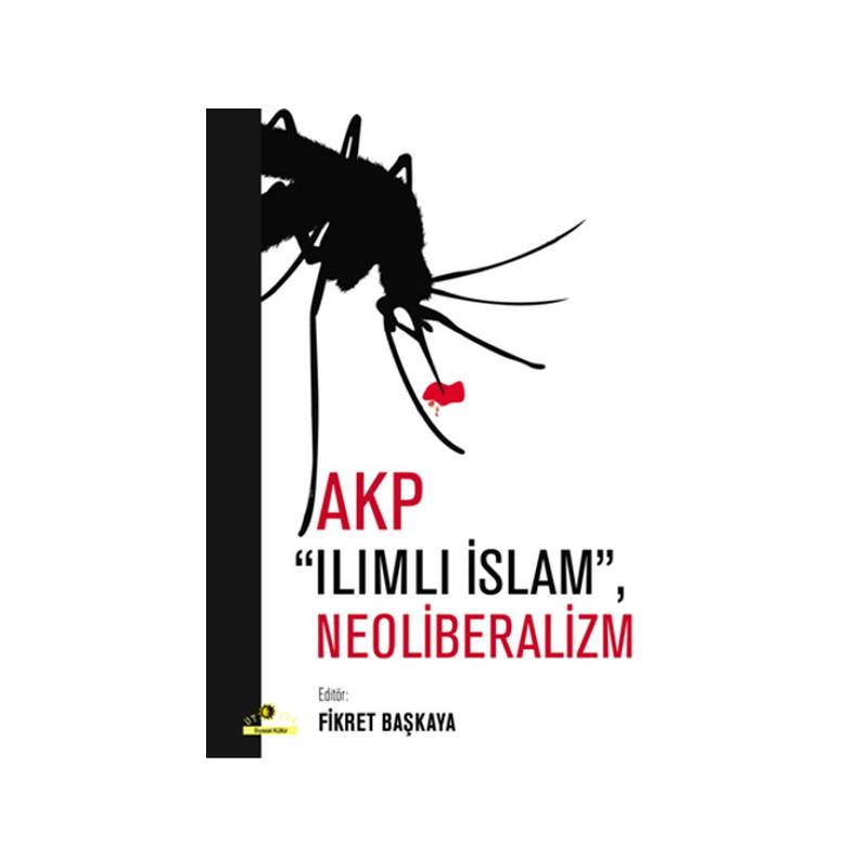 Akp Ilımlı İslam, Neoliberalizm