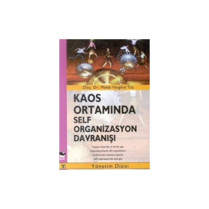 Kaos Ortamında Self Organizasyon Davranışı