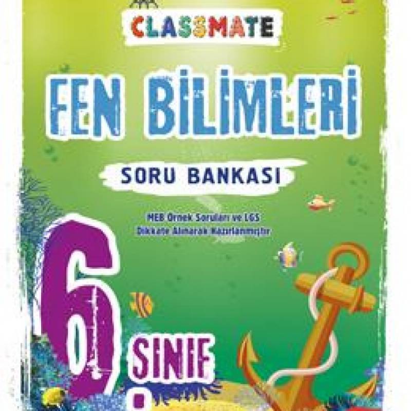 OKYANUS YAYINLARI 6. SINIF...