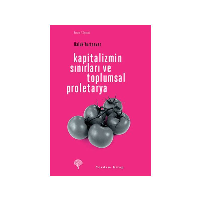 Kapitalizmin Sınırları Ve Toplumsal Proletarya