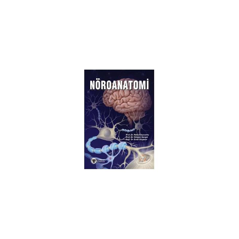 Nöroanatomi