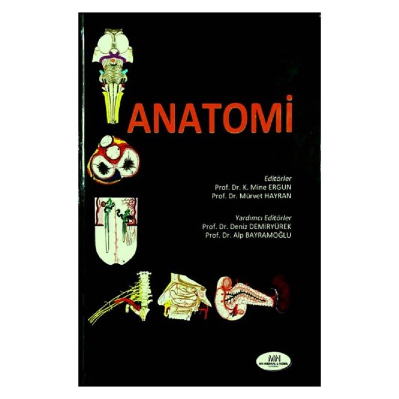 Anatomi