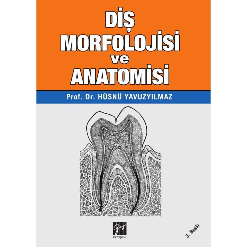 Diş Morfolojisi ve Anatomisi