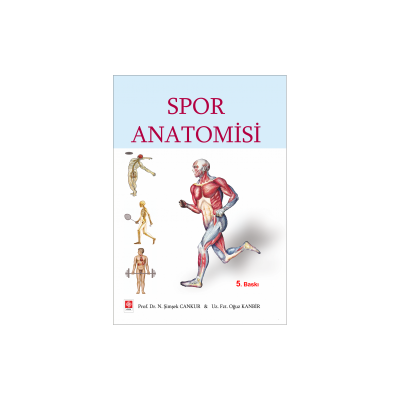 Spor Anatomisi