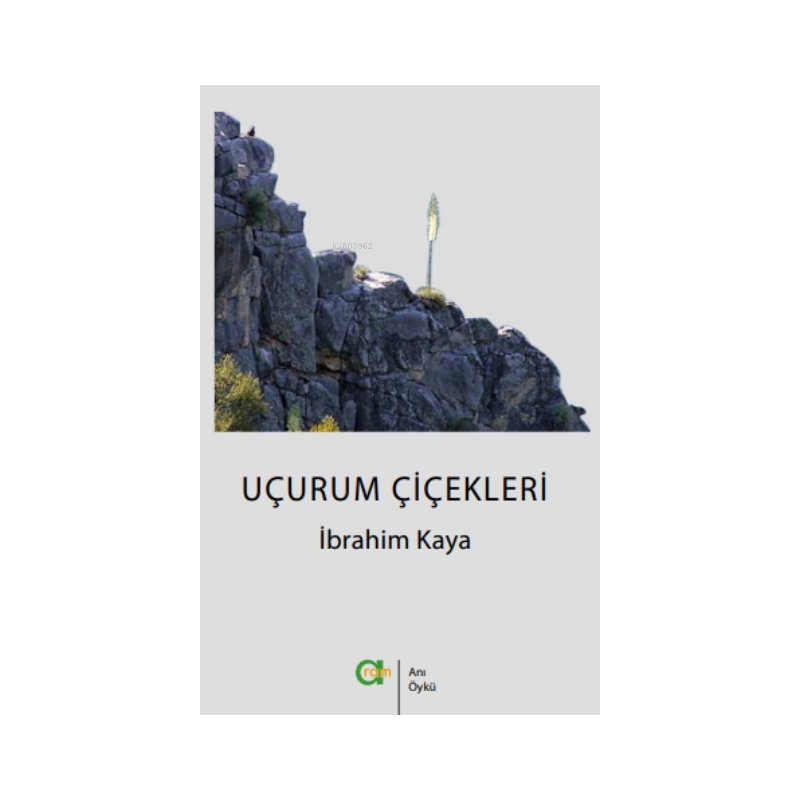 Uçurum Çiçekleri