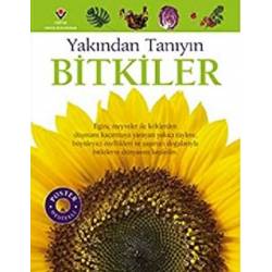 Bitkiler - Yakından Tanıyın