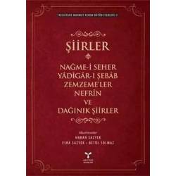 Şiirler