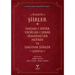 Şiirler