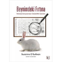 Beynimdeki Fırtına