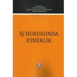 İş Hukukunda Esneklik