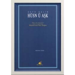 Hüsn ü Aşk