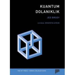 Kuantum Dolanıklık