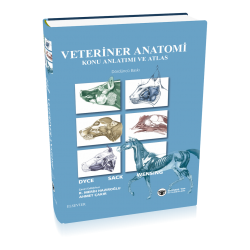 Veteriner Anatomi Konu...