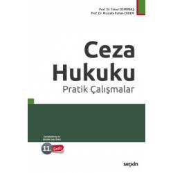 Ceza Hukuku Pratik Çalışmalar