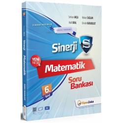 6. Sınıf Matematik Sinerji...