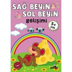 5 Yaş Sağ Beyin Sol Beyin...