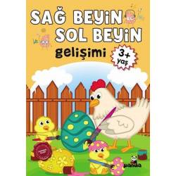 3 Yaş Sağ Beyin - Sol Beyin...