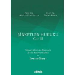 Şirketler Hukuku - Cilt III