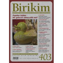 Birikim Sayı 403 Kasım 2022